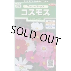 画像: 送料無料　花の種　コスモス　アーリーミックス　約86粒　(株)サカタのタネ　実咲250（026238）