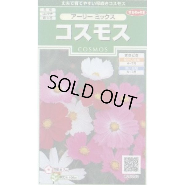 画像1: 送料無料　花の種　コスモス　アーリーミックス　約86粒　(株)サカタのタネ　実咲250（026238） (1)