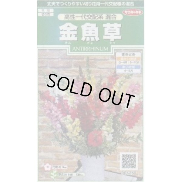 画像1: 送料無料　花の種　金魚草　高性一代交配系混合　約86粒　(株)サカタのタネ　実咲250（026222） (1)