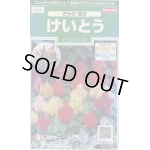 画像: 送料無料　花の種　けいとう　きもの混合　約143粒　(株)サカタのタネ　実咲250（026234）