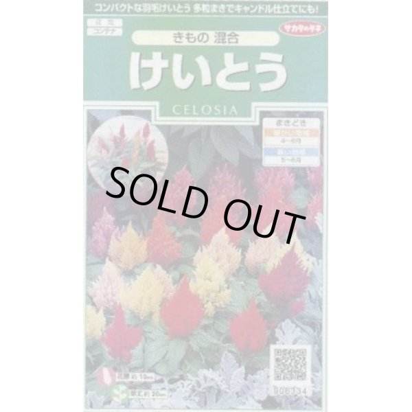 画像1: 送料無料　花の種　けいとう　きもの混合　約143粒　(株)サカタのタネ　実咲250（026234） (1)