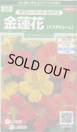 画像: 送料無料　花の種　金蓮花　ホワリーバード　約15粒　(株)サカタのタネ　実咲250（026228）