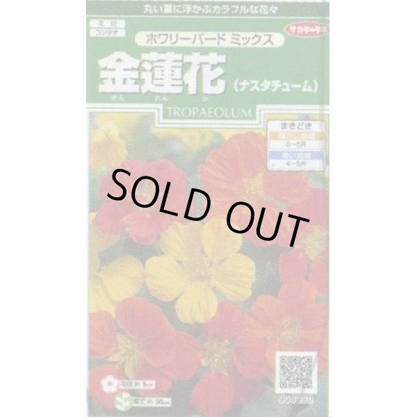 画像1: 送料無料　花の種　金蓮花　ホワリーバード　約15粒　(株)サカタのタネ　実咲250（026228） (1)