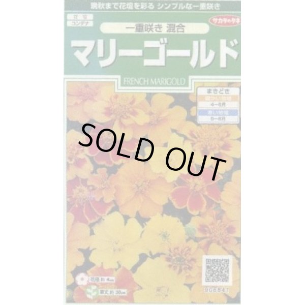 画像1: 送料無料　花の種　マリーゴールド　一重咲き混合　約50粒　(株)サカタのタネ　実咲250（026295） (1)