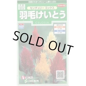 画像: 送料無料　花の種　羽毛けいとう　センチュリーミックス　約143粒　(株)サカタのタネ　実咲250（026233）