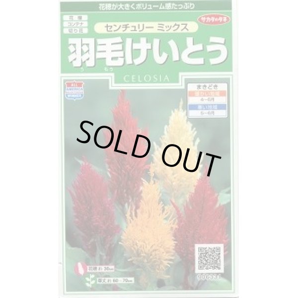 画像1: 送料無料　花の種　羽毛けいとう　センチュリーミックス　約143粒　(株)サカタのタネ　実咲250（026233） (1)