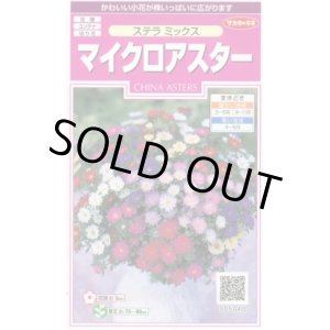 画像: 送料無料　花の種　マイクロアスター　ステラミックス　約75粒　(株)サカタのタネ　　実咲350（026085）