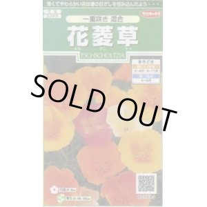 画像: 送料無料　花の種　花菱草　一重咲き混合　約134粒　　(株)サカタのタネ　実咲250（026266）