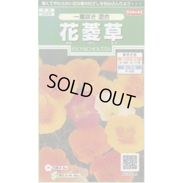 画像1: 送料無料　花の種　花菱草　一重咲き混合　約134粒　　(株)サカタのタネ　実咲250（026266） (1)