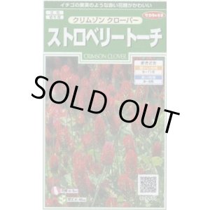 画像: 送料無料　花の種　クリムゾンクローバー　ストロベリートーチ　約190粒　(株)サカタのタネ　実咲250（026253）