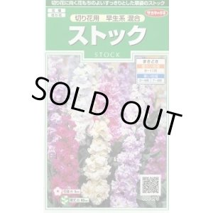 画像: 送料無料　花の種　ストック　切り花用　早生系混合　約40粒　(株)サカタのタネ　実咲250（026252）