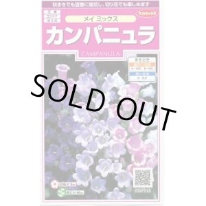 画像: 送料無料　花の種　カンパニュラ　メイミックス　約62粒　　(株)サカタのタネ　実咲350（026097）