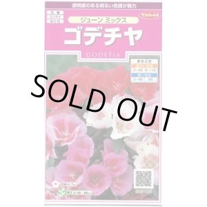 画像: 送料無料　花の種　ゴデチャ　ジューンミックス　0.1ml　　(株)サカタのタネ　実咲350（026111）