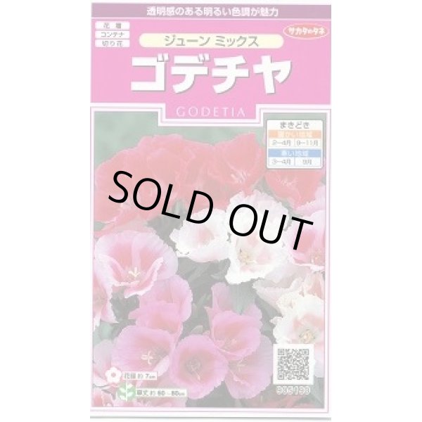 画像1: 送料無料　花の種　ゴデチャ　ジューンミックス　0.1ml　　(株)サカタのタネ　実咲350（026111） (1)