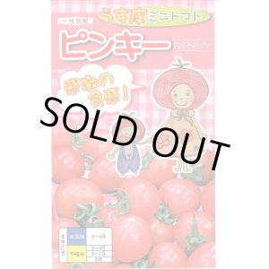 画像: 送料無料　[トマト/ミニトマト]　ピンキー　15粒　ナント種苗(株)