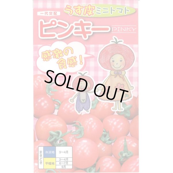 画像1: 送料無料　[トマト/ミニトマト]　ピンキー　15粒　ナント種苗(株) (1)