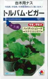 画像: 送料無料　[台木/ナス用]　トルバム・ビガー　1000粒　タキイ種苗