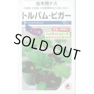 画像: 送料無料　[台木/ナス用]　トルバム・ビガー　1000粒　タキイ種苗