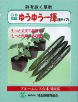 画像: 送料無料　[台木/キュウリ用]　ＯＳ交配ゆうゆう一輝(黒種)　350粒　埼玉原種育成会