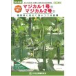 画像1: 送料無料　[キュウリ]　マジカル2号　350粒　ＯＳ交配 (1)