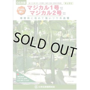 画像: 送料無料　[キュウリ]　マジカル2号　350粒　ＯＳ交配