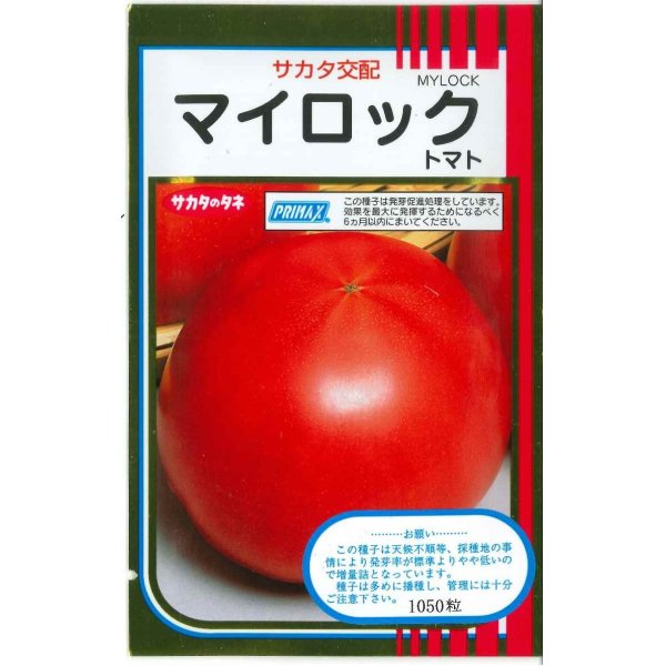 画像1: 送料無料　[トマト]　マイロック　1000粒　(株)サカタのタネ (1)