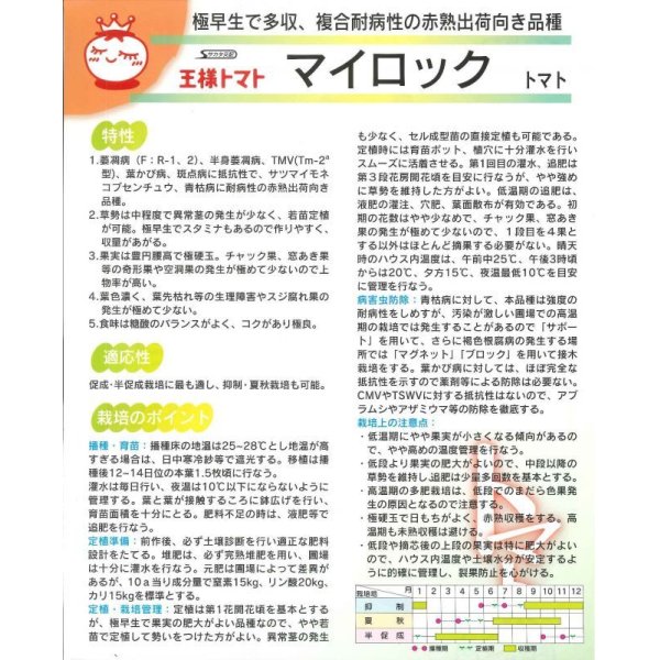 画像2: 送料無料　[トマト]　マイロック　1000粒　(株)サカタのタネ (2)