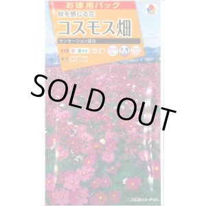 画像: 送料無料　花の種　お徳用パック！コスモス畑　センセーション混合　タキイ種苗(株)