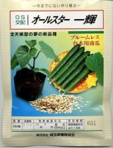 画像: 送料無料　[台木/キュウリ用]　オールスター一輝　350粒　埼玉原種育成会