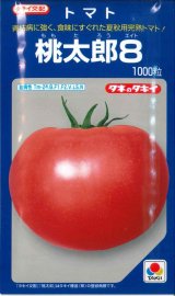 画像: 送料無料　[トマト/桃太郎系]　桃太郎8　1000粒　貴種(コートしてません)　タキイ種苗(株)