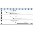 画像2: [大根]　ＹＲくらま　8ml　タキイ種苗(株)　DF (2)