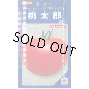 画像: 送料無料　[トマト/桃太郎系]　桃太郎　1000粒　貴種(コートしてません)　タキイ種苗