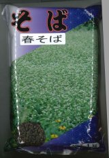 画像: 春そば　1kg　カネコ種苗