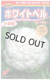 画像: 送料無料　[カリフラワー]　ホワイトベル60粒　渡辺交配