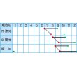 画像2: [大根]　夏仕立大根　4ml　(株)タカヤマシード (2)