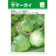 画像2: [レタス]　サマーガイ　ペレット5000粒　タキイ種苗(株) (2)