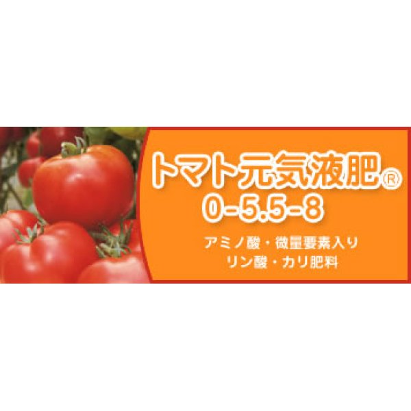 肥料 リン酸・カリ肥料 トマト元気液肥 タキイ種苗(肥料/)グリーン