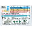 画像3: 送料無料　[大根]　あじまるみ8ml　大和農園 (3)