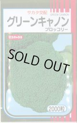 画像: 送料無料　[ブロッコリー]　グリーンキャノン　2000粒　(株)サカタのタネ