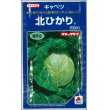 画像1: 送料無料　[キャベツ]　北ひかり　2000粒　タキイ種苗(株) (1)