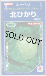 画像: 送料無料　[キャベツ]　北ひかり　2000粒　タキイ種苗(株)