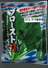 画像: 野菜種　ほうれんそう　プロースト11　プライミング　Mサイズ　3万粒　ナント種苗(株)