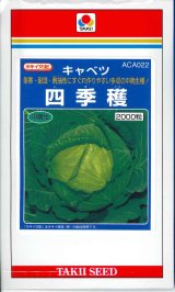 画像: 送料無料　[キャベツ]　四季穫　2000粒　タキイ種苗(株)