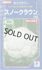 画像: 送料無料　[カリフラワー]　スノークラウン　20ml　タキイ種苗(株)