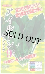 画像: 送料無料　[ほうれんそう]　アイルトン9　20ml(約650粒)　ナント種苗(株)
