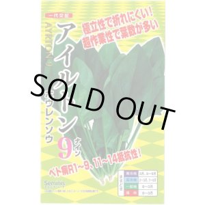 画像: 送料無料　[ほうれんそう]　アイルトン9　20ml(約650粒)　ナント種苗(株)