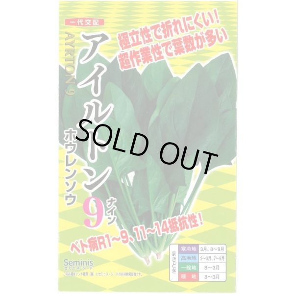 画像1: 送料無料　[ほうれんそう]　アイルトン9　20ml(約650粒)　ナント種苗(株) (1)