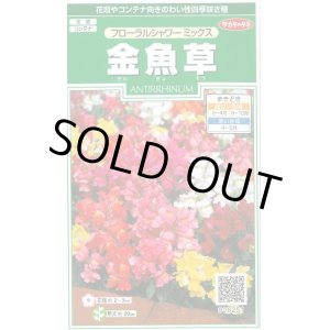 画像: 送料無料　花の種　金魚草　フローラルシャワーミックス　約86粒　　(株)サカタのタネ　実咲250（026223）