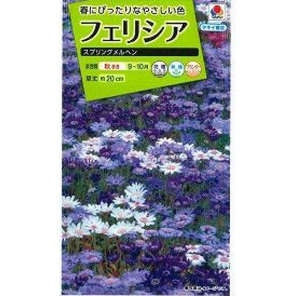 送料無料 花の種 フェリシア スプリングメルヘン 0.4ml タキイ種苗(株)(花の種/花の種（小袋）秋まき)グリーンロフトネモト直営