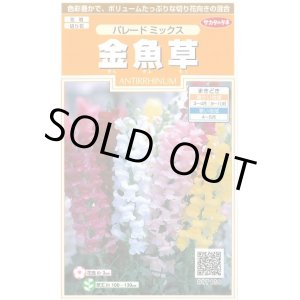 画像: 送料無料　花の種　金魚草　パレードミックス　約145粒　　(株)サカタのタネ　実咲200（026316）